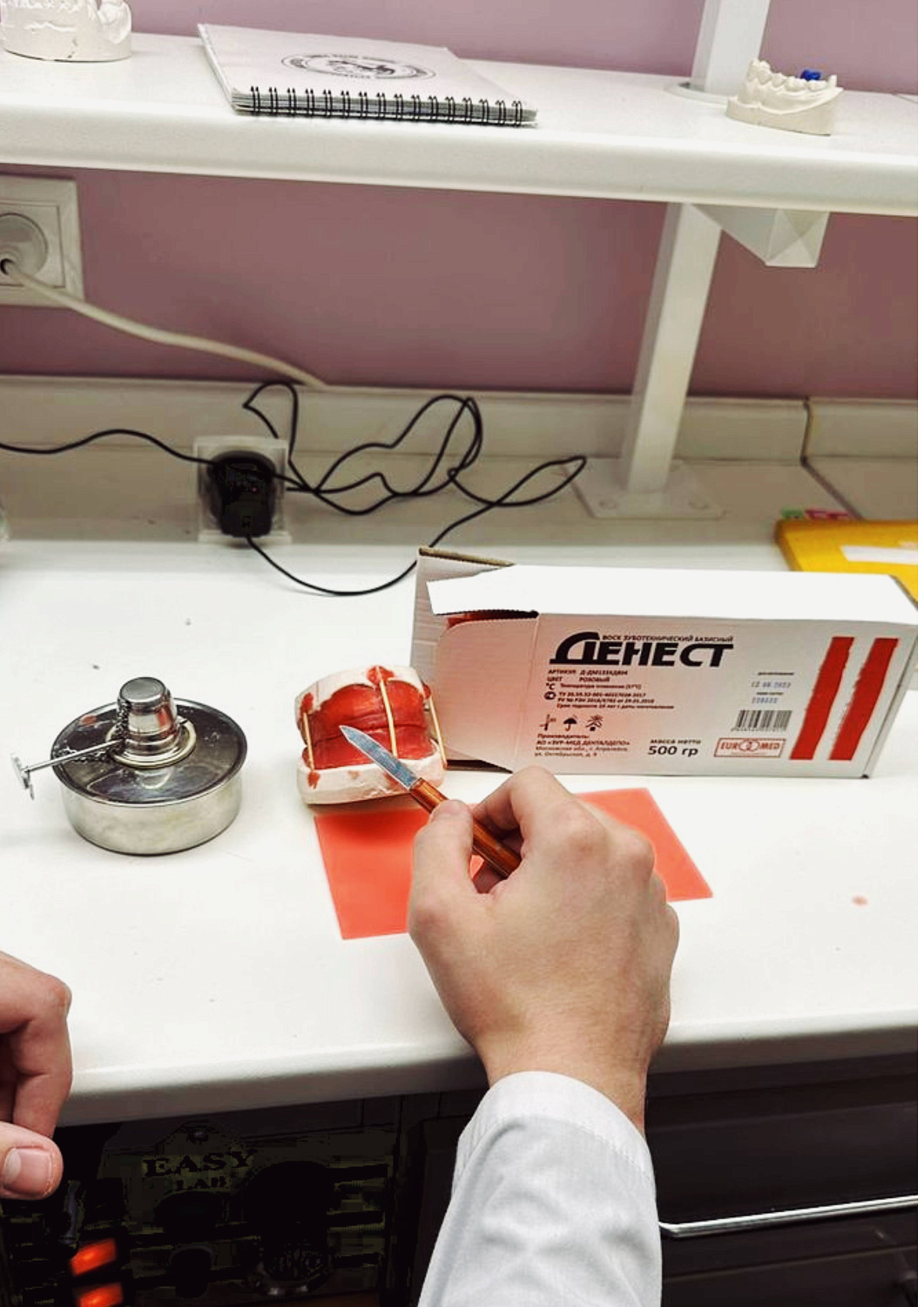 Презентация ДЕНЕСТ в Первом МГМУ им. И.М. Сеченова